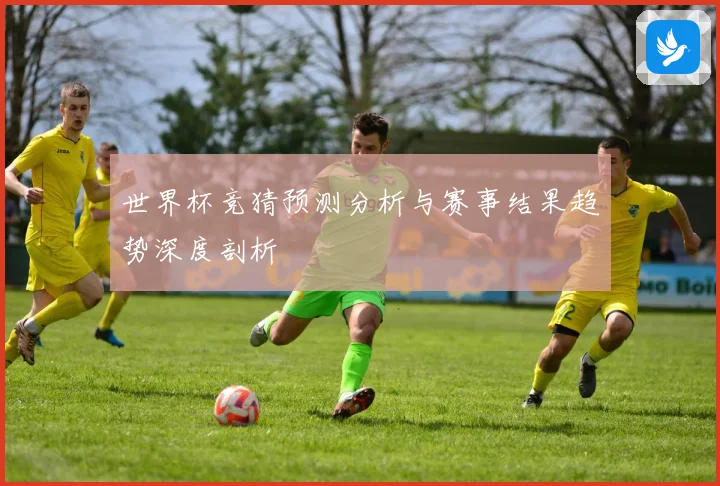 世界杯竞猜预测分析与赛事结果趋势深度剖析