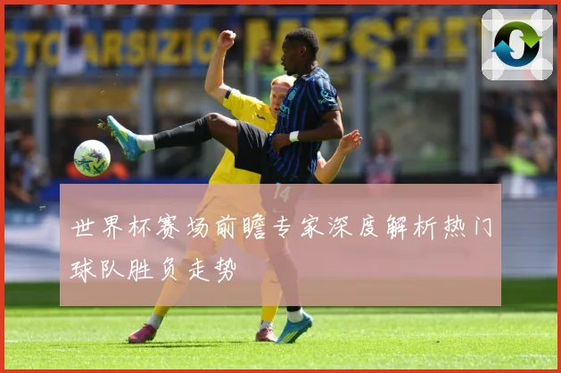 世界杯赛场前瞻专家深度解析热门球队胜负走势
